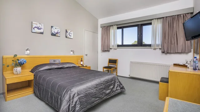 Standard, Double Bed, Troodos Hotel 1/4