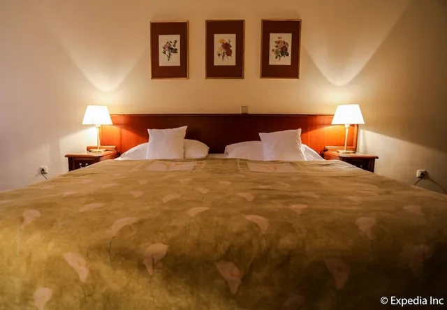 غرفة قياسية بسرير مزدوج، Ea Hotel Rokoko 4/7