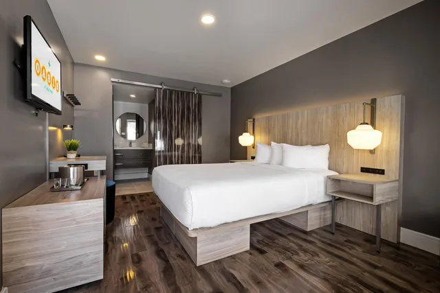 Room, Pool Side، Oasis at Gold Spike 1/1