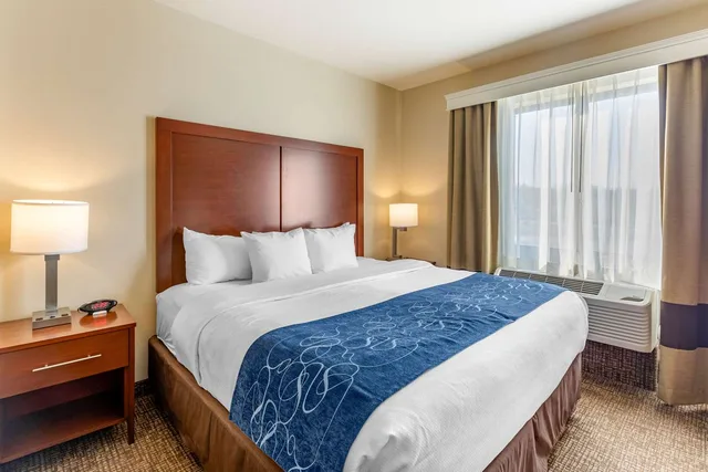 جناح بسرير كينج، Comfort Suites Near Denver Downtown 2/3