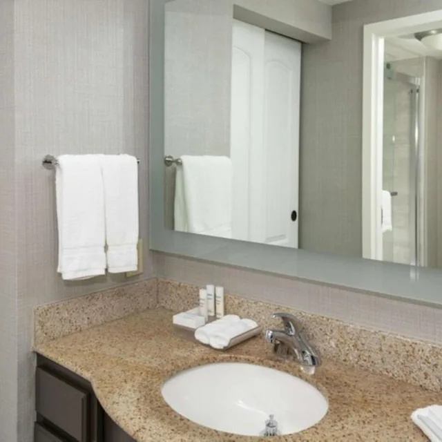 جناح بسرير كينج بغرفة نوم واحدة مع أريكة، HOMEWOOD SUITES BY HILTON COLUMBIA 3/4
