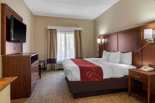 Suite, King Bed, Comfort Suites Woodstock - Atlanta North 2/4