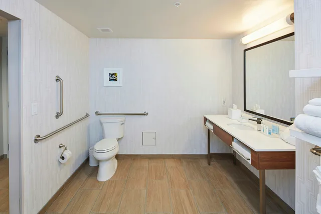 غرفة بسرير كينج لذوي الإعاقة، Hampton Inn and Suites Sacramento At Csus 5/6