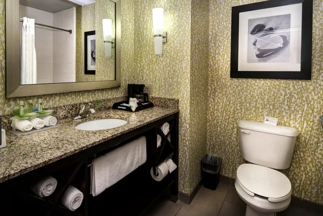 جناح لذوي الإعاقة، Holiday Inn Express Hotel Suites Conway 1/1