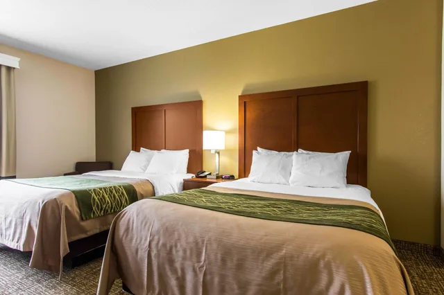 Suite, 2 Queen Beds, Comfort Inn & Suites Cave City 1/2