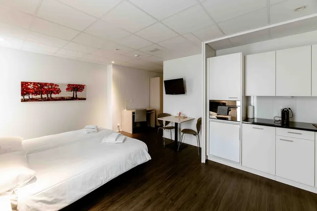 Superior, Studio, Twin Beds, Kitchen, Hine Adon Apart Bern-Airport 1/9