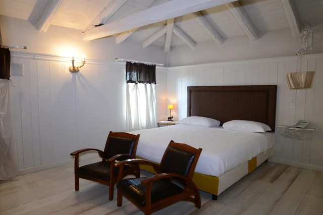 Room, Single, VILLA FOSCARINI CORNARO 6/8