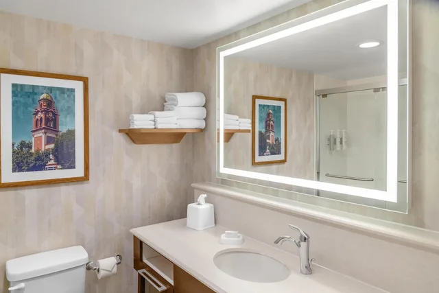 غرفة بسرير كينج مع أريكة لذوي الإعاقة، Hampton Inn Kansas City/Shawnee Mission 10/10