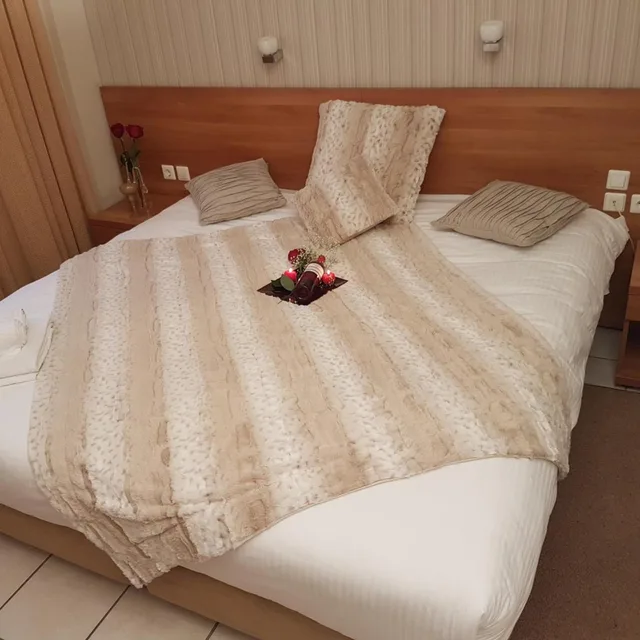 غرفة بسرير مزدوج أو سريرين منفصلين، Ideal Hotel 7/10