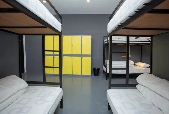 Female Dorm, Female Only, 8 Beds, 4 Bunk Beds، Yakety Yak Hostel 1/1