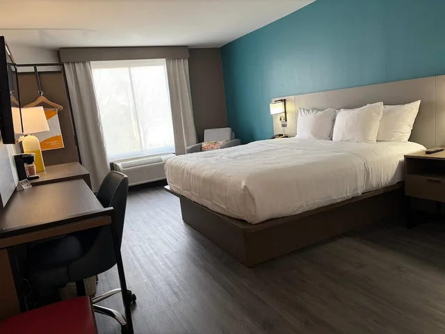غرفة قياسية بسرير كينج يُسمح فيها بالحيوانات الأليفة، Comfort Inn & Suites Gainesville, GA 1/1
