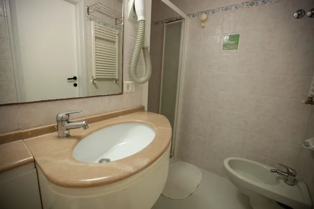 Economy, Single, Queen Bed, Balcony, Hotel Maestri 8/8