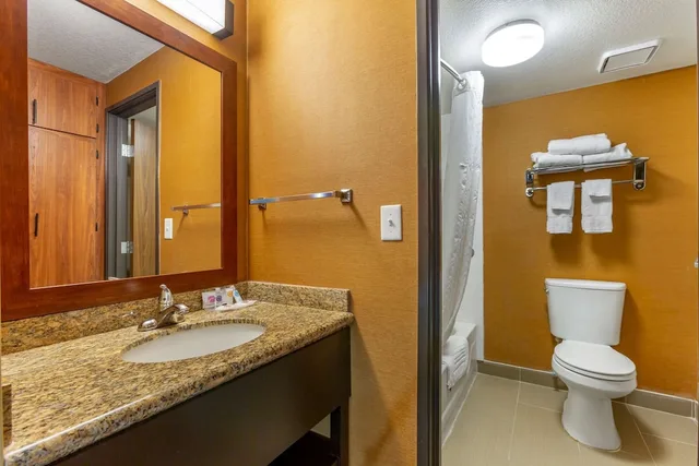 جناح ديلوكس بسرير كينج مع أريكة، Comfort Inn & Suites Phoenix North / Deer Valley 4/4
