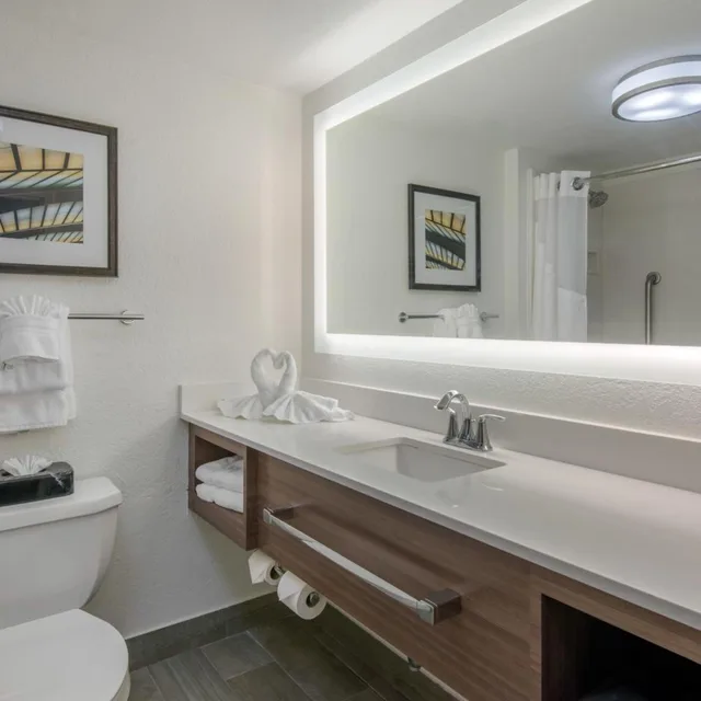 جناح بسرير كينج لذوي الإعاقة، Holiday Inn Savannah S - I-95 Gateway 1/3