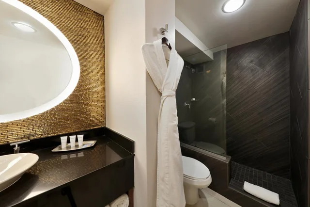Room, Skyline View, Angeleno Hotel 4/6