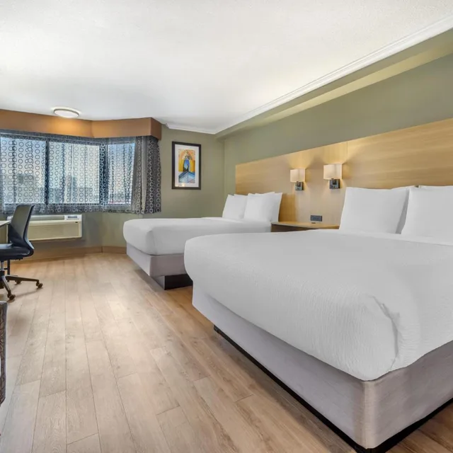 جناح بسريرين كوين بمطبخ صغير، Best Western Plus Ottawa City Centre 3/8