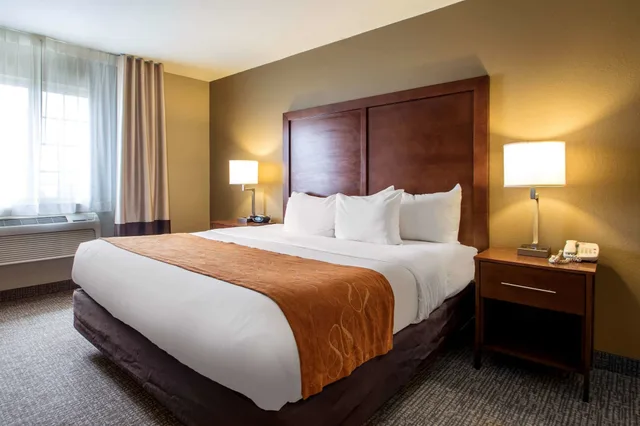 جناح بسرير كينج مع أريكة، Comfort Suites Johnson Creek Conference Center 2/7