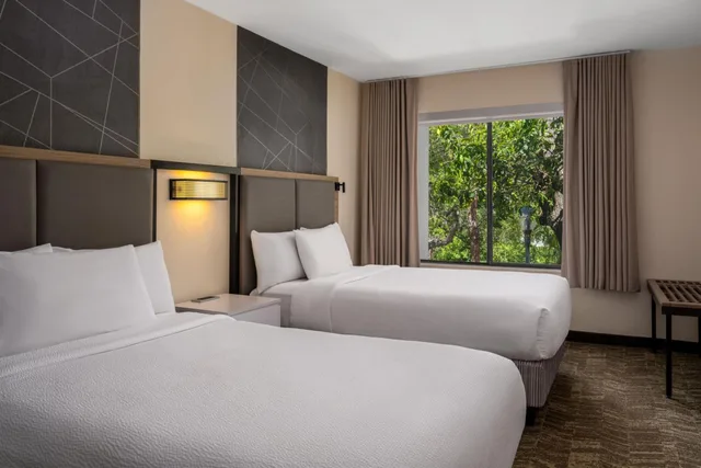 استوديو بسرير مزدوج مع أريكة، SpringHill Suites by Marriott Sarasota Bradenton 1/10