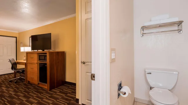 Business, King Bed, Best Western Plus Ontario Airport & Convention Center 14/14