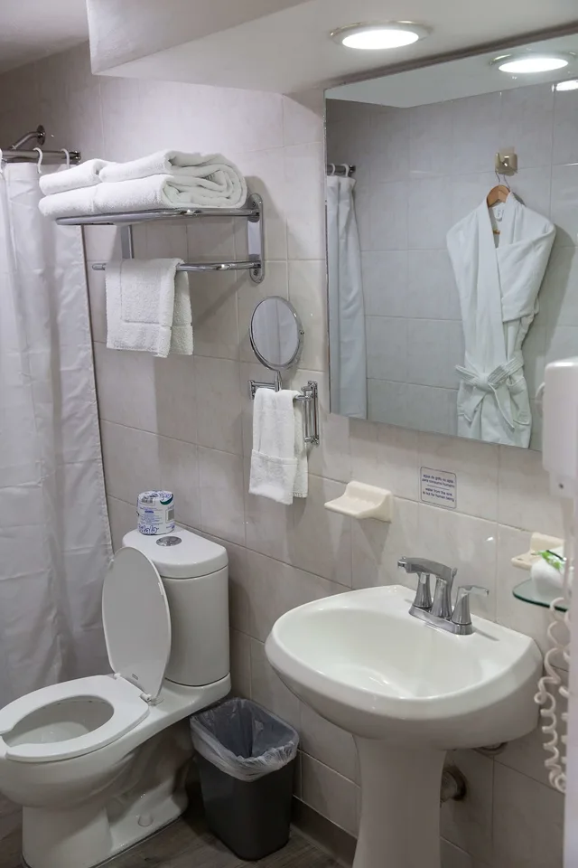 غرفة قياسية بسريرين منفصلين، Best Western Plus Gran Hotel Centro Historico 4/8
