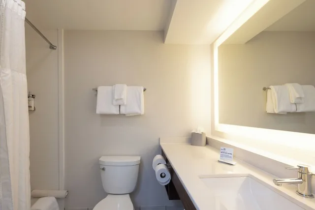 1 Bedroom, Suite, King Bed, Sofa, Holiday Inn Express Charleston US Hwy 17 & I-526 7/7