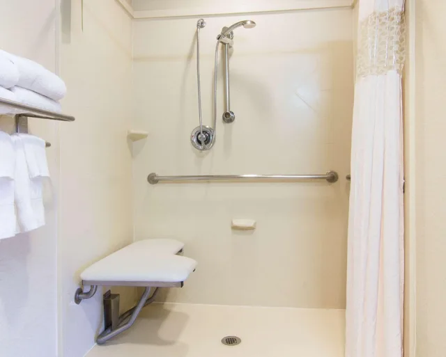 استوديو لذوي الإعاقة، Hampton Inn And Suites Brownsville 2/3