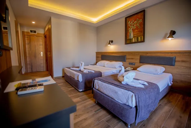 غرفة بسرير مزدوج أو سريرين منفصلين بإطلالة على المسبح، Kleopatra Fatih Hotel 1/10