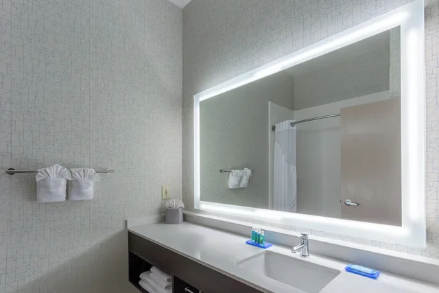غرفة قياسية بسرير كينج، Holiday Inn Express Columbus - Ohio Expo Center, an IHG Hotel 3/3