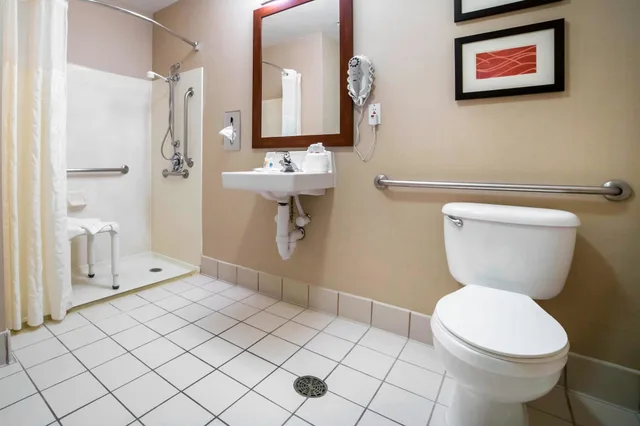 غرفة بسرير كينج لذوي الإعاقة، Comfort Inn And Suites Orem Provo 7/7