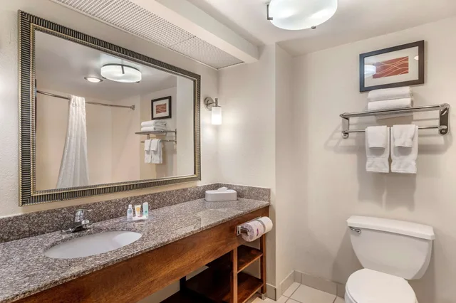 جناح مع أريكة، Comfort Inn & Suites Athens North GA 2/2