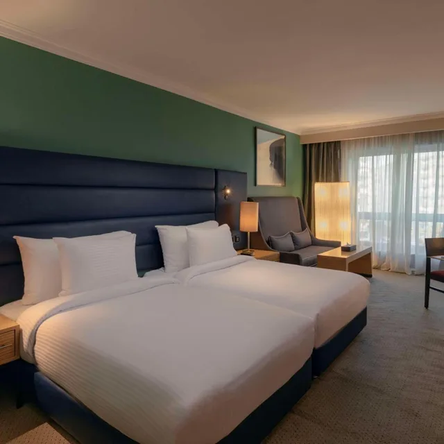 غرفة تنفيذية، Radisson Blu Heliopolis 1/10