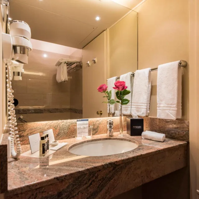 غرفة قياسية بسرير مزدوج، Royal Plaza Montreux Hotel 8/8