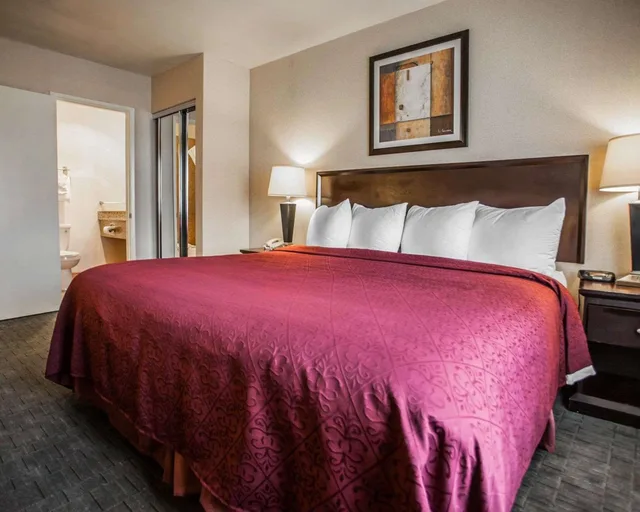 غرفة قياسية بسرير كينج لذوي الإعاقة، Quality Inn & Suites Anaheim at the Park 5/7