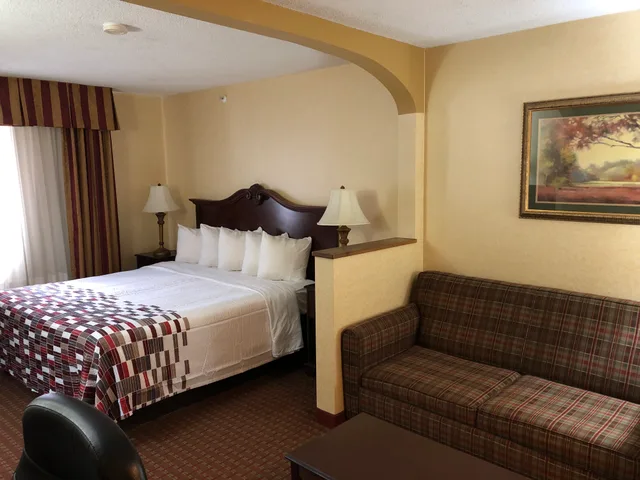 غرفة سوبيريور بسرير كينج لذوي الإعاقة، Red Roof Inn & Suites Chestertown 1/3