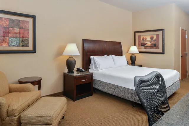 Evolution, King Bed، Hilton Garden Inn Twin Falls 4/6