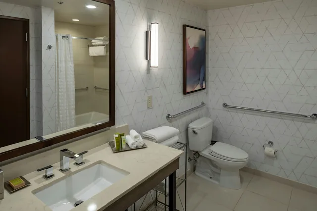 جناح بسرير كينج لذوي الإعاقة، Hilton Asheville Biltmore Park 3/3