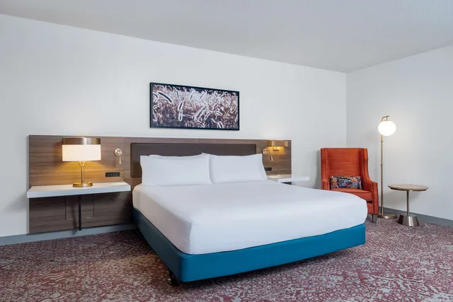 غرفة بسرير كينج لذوي الإعاقة، Hilton Garden Inn Montgomery East 2/4