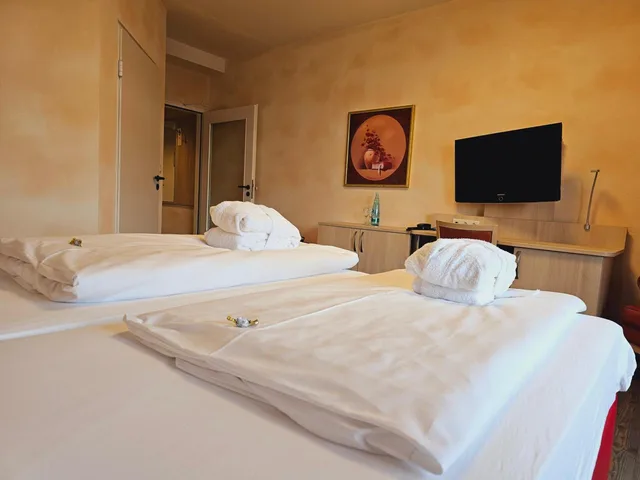 غرفة بسرير مزدوج لذوي الإعاقة، Hotel Hochsauerland 2010 5/6
