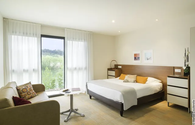 شقة عائلية بسرير مزدوج مع أريكة، Hotel Lyon Metropole 3/5