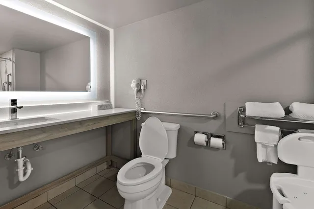 غرفة بسرير كينج للمدخنين لذوي الإعاقة، Quality Inn And Suites Vidalia 3/4
