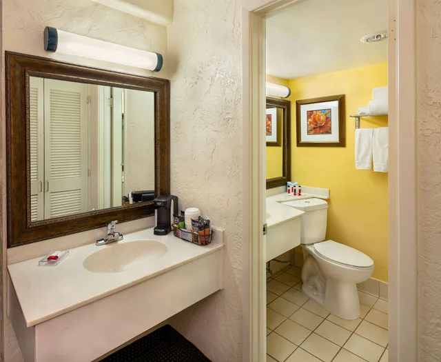 جناح بسرير كينج بغرفة نوم واحدة لذوي الإعاقة، Ramada by Wyndham Tucson 4/4