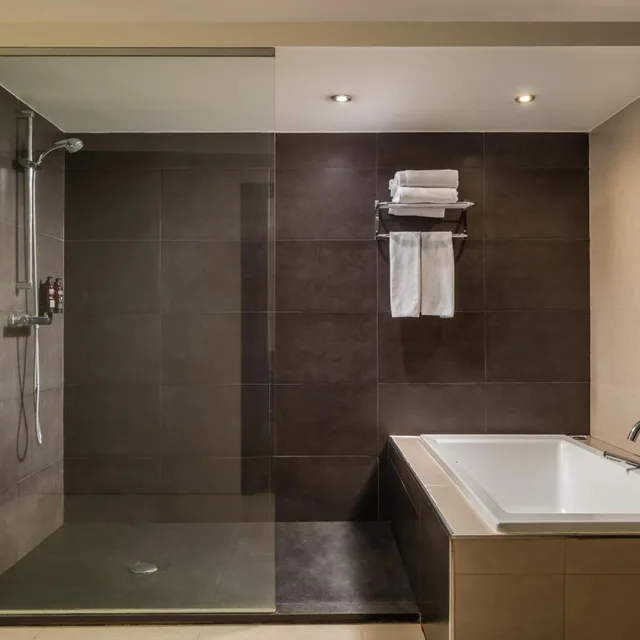 جناح جونيور بسرير كينج، Hotel President by Alegria 5/6