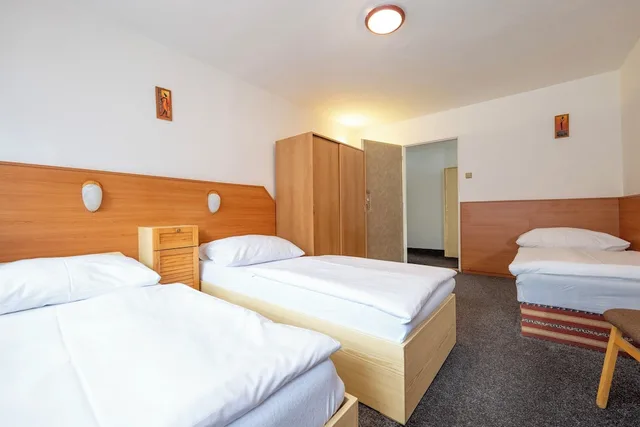 Family, 2 Double and Twin Beds، Sport Resort Hotel Gejzirpark 4/4