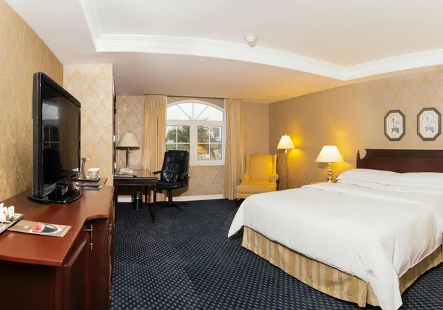 جناح تنفيذي بغرفة نوم واحدة، Hilton Princess Managua 1/10