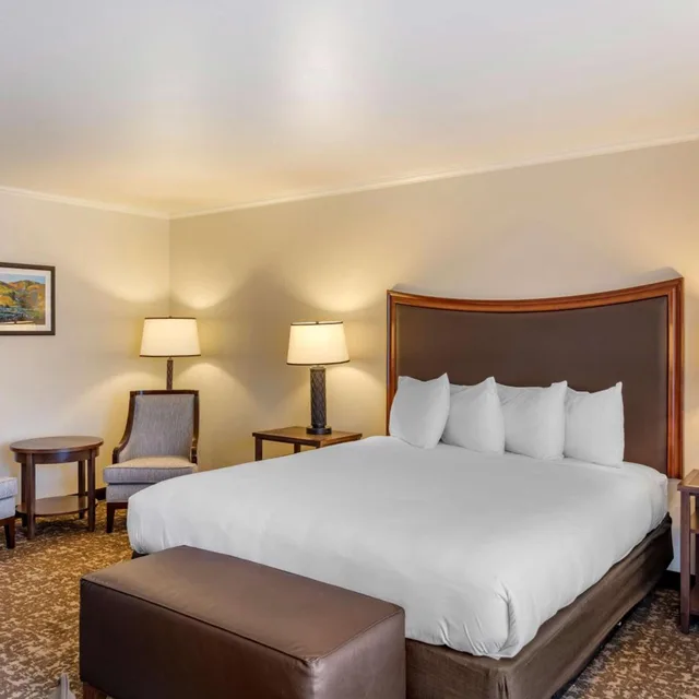 غرفة كبيرة بسرير كينج بإطلالة على المسبح، Best Western Plus Royal Oak Hotel 3/4