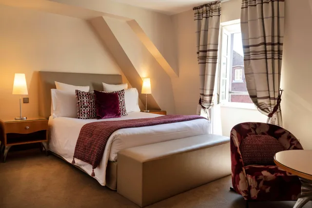 Style, Modern, Superior, Queen Bed، Hotel & Spa Regent Petite France 4/9