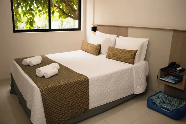 غرفة سوبيريور بسرير مزدوج، Iguassu Express Hotel 6/10