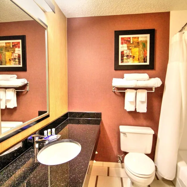 غرفة بسرير كينج بحوض استحمام لذوي الإعاقة، Fairfield Inn Boise 6/10