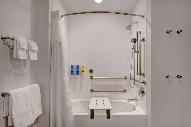 Room, King Bed, Bathtub, Accessible, Tru by Hilton Franklin Cool Springs Nashville 7/7