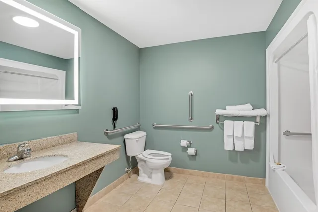 غرفة قياسية بسرير كينج لذوي الإعاقة، Best Western Plus Glen Allen Inn 7/8